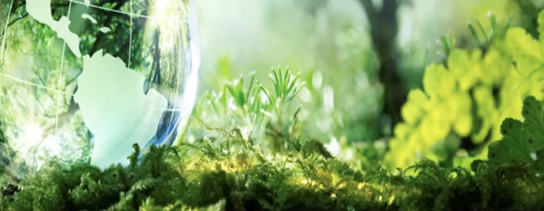 Malaysian Financial Sector Can Drive Transition To A More Sustainable Economy: Value-Based Banking Sectoral Guides Town Hall Highlights