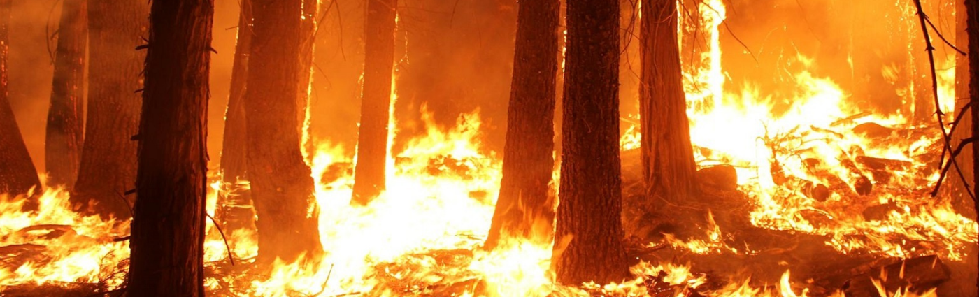 As Climate Change Impacts the Insurance Market, Islamic Banks should Identify Their Major Climate-related Financial Risks