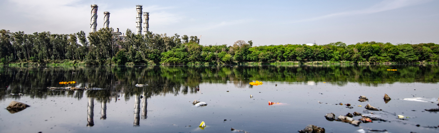 Regulators' Group Highlights Best Practices in Environmental Risk Analysis