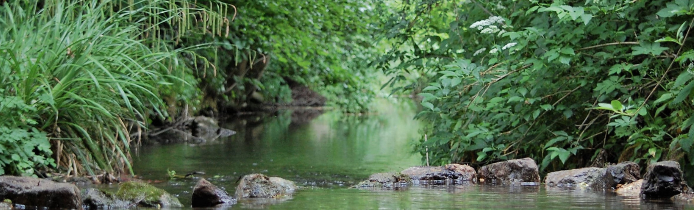 We are living in an era of systemic risks that will be defined by our our response to climate and biodiversity issues