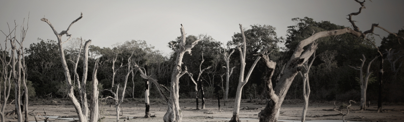 Climate change could provoke a global financial crisis and regulators are on-notice and taking action