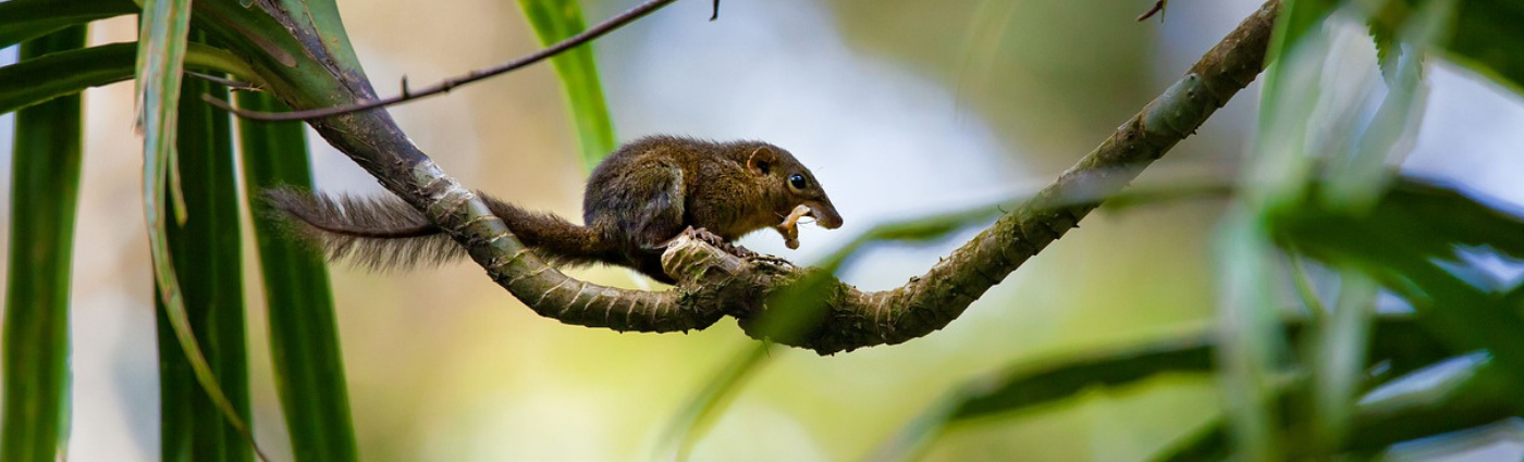 With climate and Covid at the top of the agenda, there is a new risk on the horizon