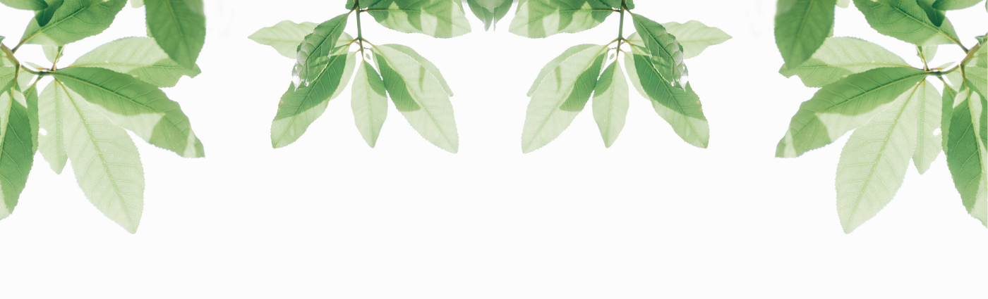 Many financial institutions don’t measure or report the vast majority of their emissions footprint