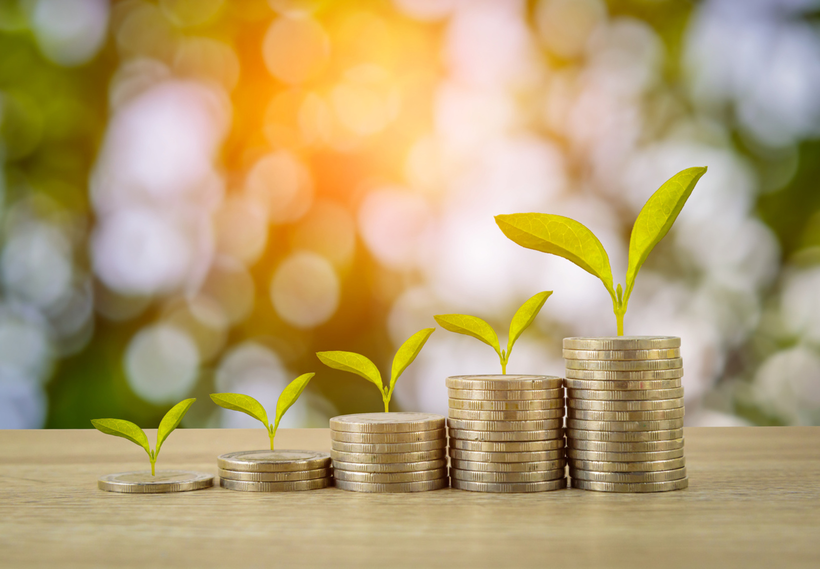 Malaysia’s Budget 2021 Lauded for its Focus on Environmental, Social and Governance Factors: Economists