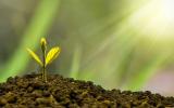 The Growing Importance of the Green and ESG Sector - A Market Report 