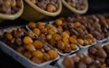 Saudi Arabia’s Exports of Dates Value Sees 31% increase, Reaching USD 324 Million in 2021